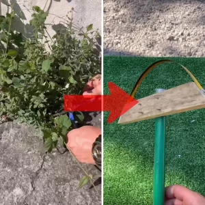 آموزش ساخت علف زن دستی
