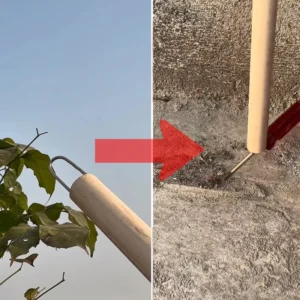 آموزش بیرون کشیدن ابزارها از چاله ها